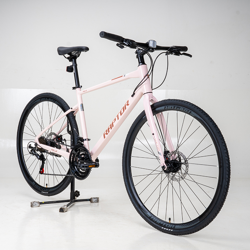 xe đạp touring raptor feliz 2